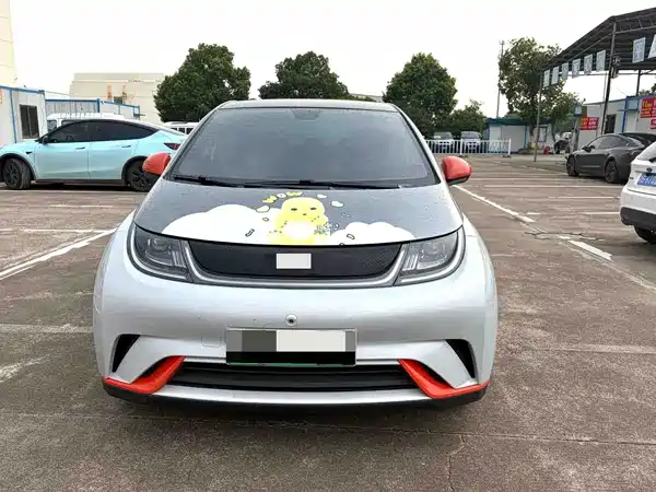 BYD Dolphin 2022