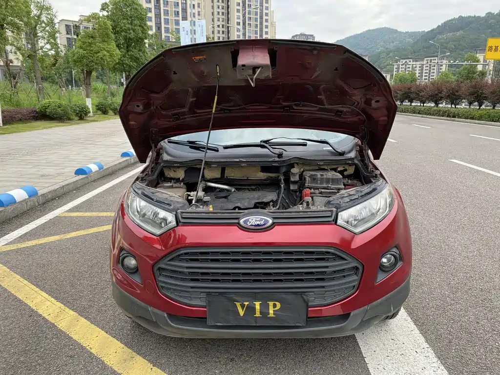 Ford Ecosport 2013 — фото 23