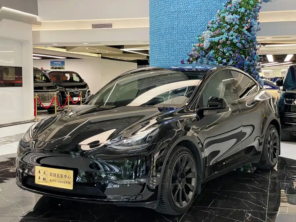 Tesla Model Y 2021 — фото 1