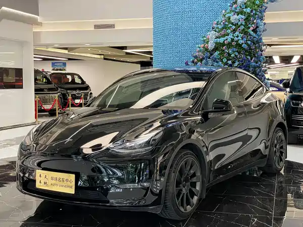 Tesla Model Y 2021