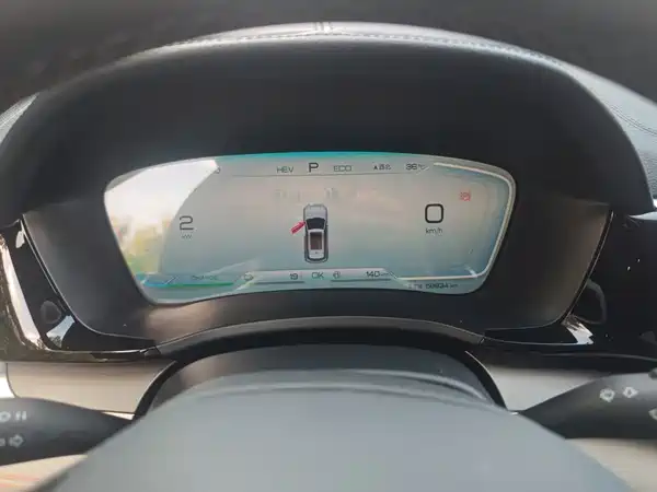 BYD Song PLUS New Energy 2024