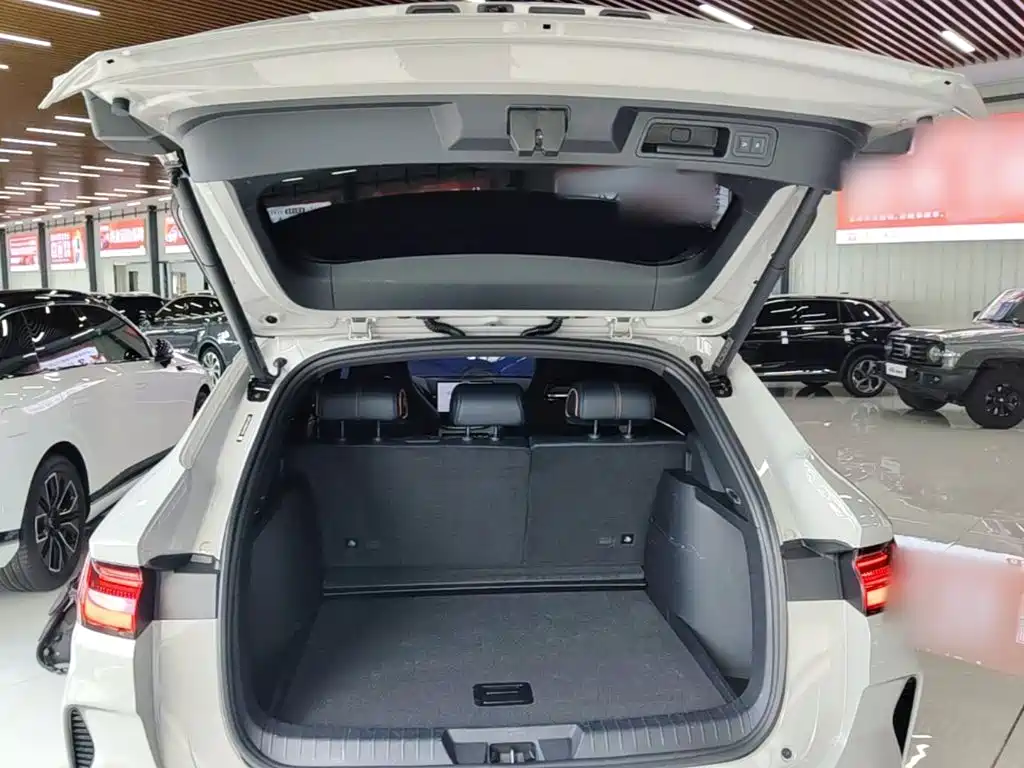 BYD Song PLUS New Energy 2024 — фото 19