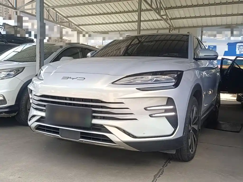 BYD Song PLUS New Energy 2024