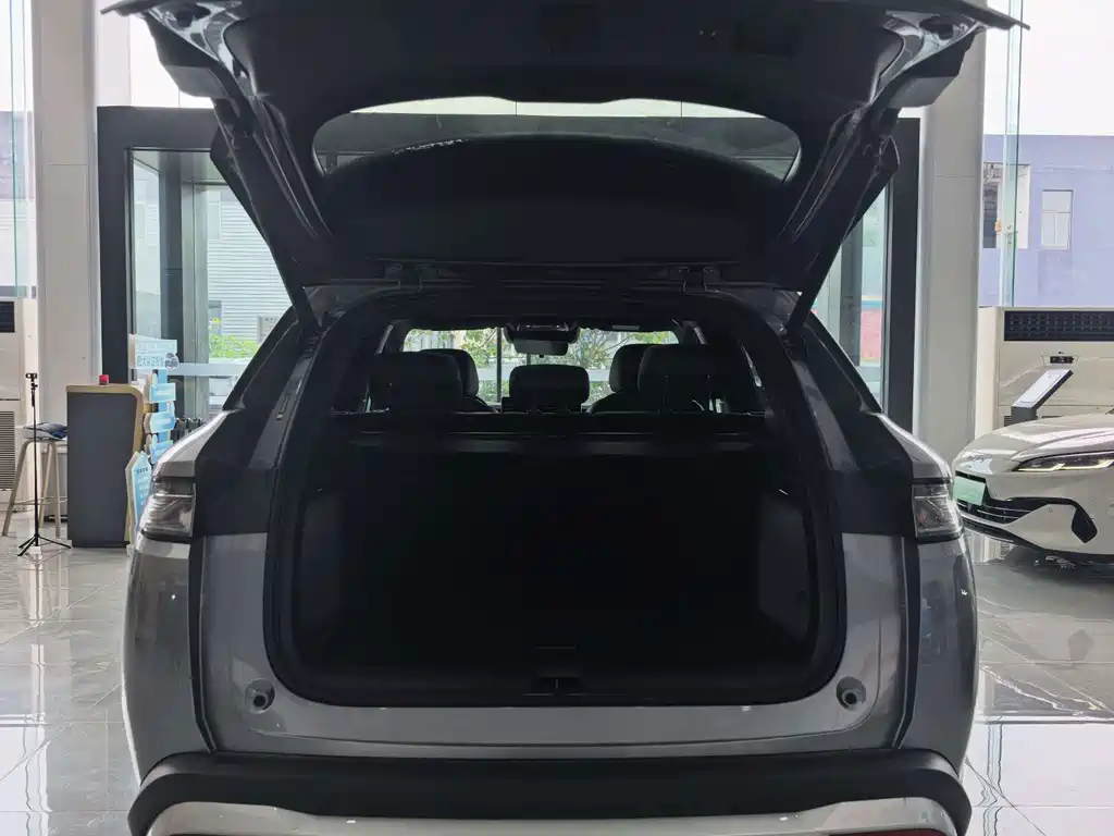 BYD Song L DM-i 2025 — фото 9