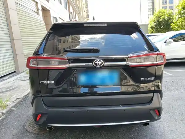Toyota Wildlander 2022