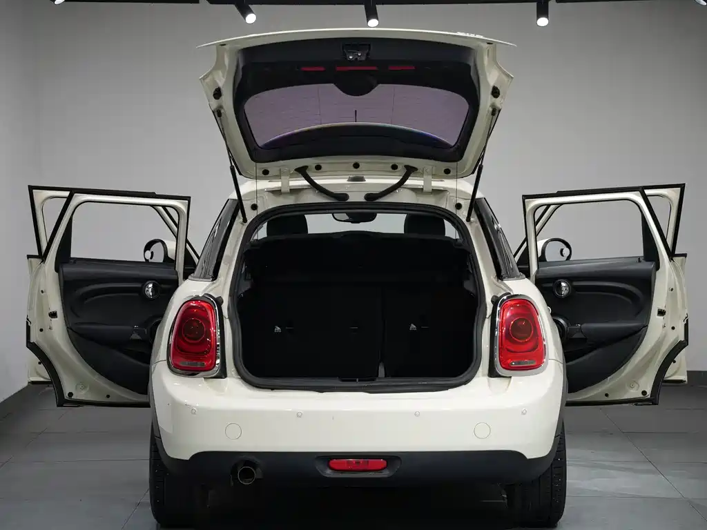 MINI MINI 2020