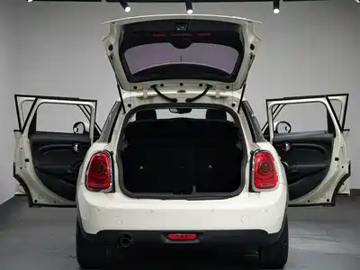 MINI MINI 2020