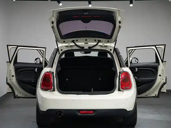 MINI 2020