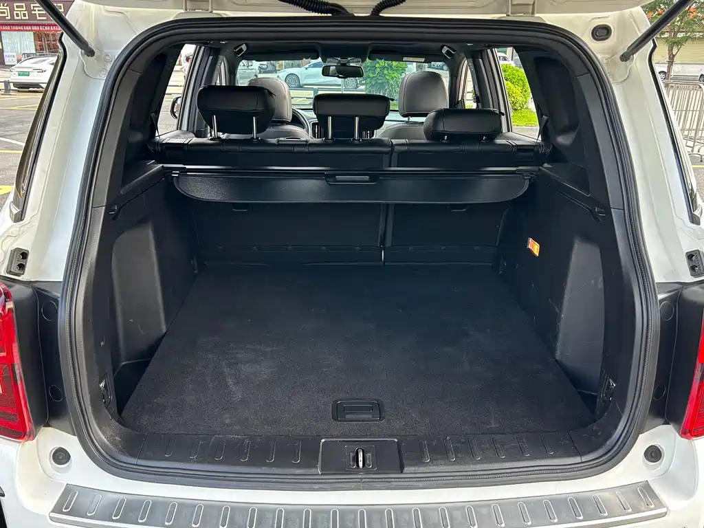 GAC Trumpchi GS8 2021 — фото 18