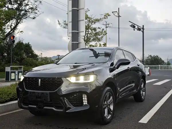 Wey VV5 2019