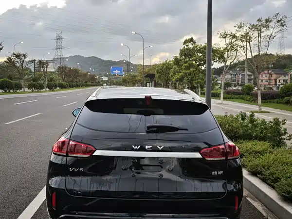 Wey VV5 2019