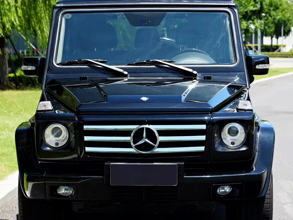 Mercedes-Benz G-Class AMG 2010 — фото 2