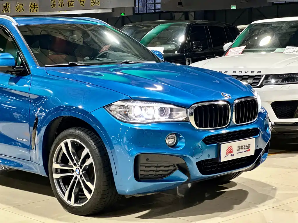BMW X6 2018 — фото 6