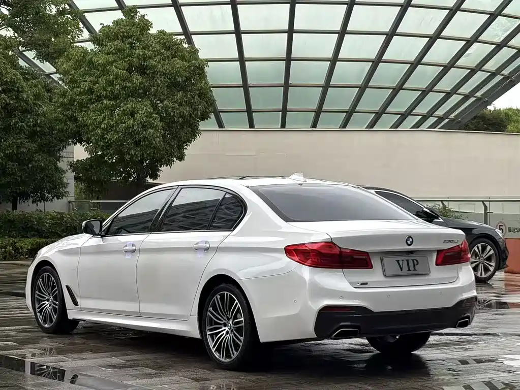 BMW 5 Series 2017 — фото 9