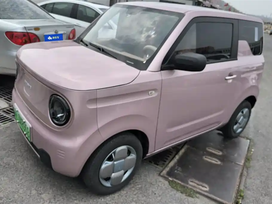 Galaxy Panda 2024