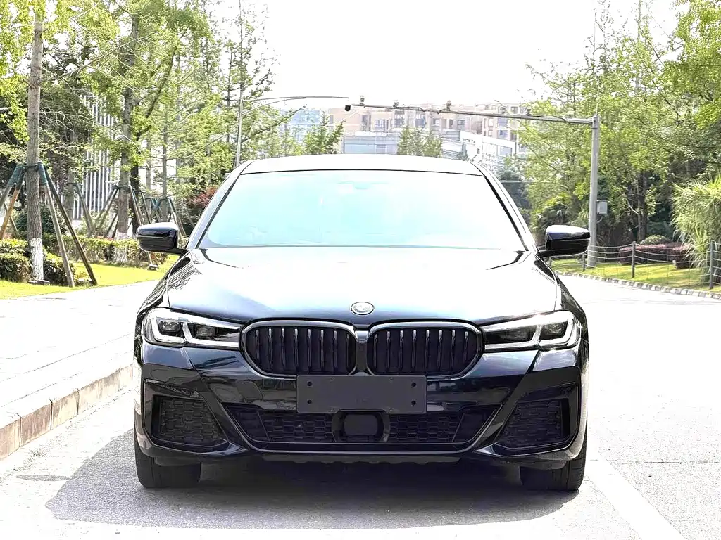 BMW 5 Series New Energy 2022