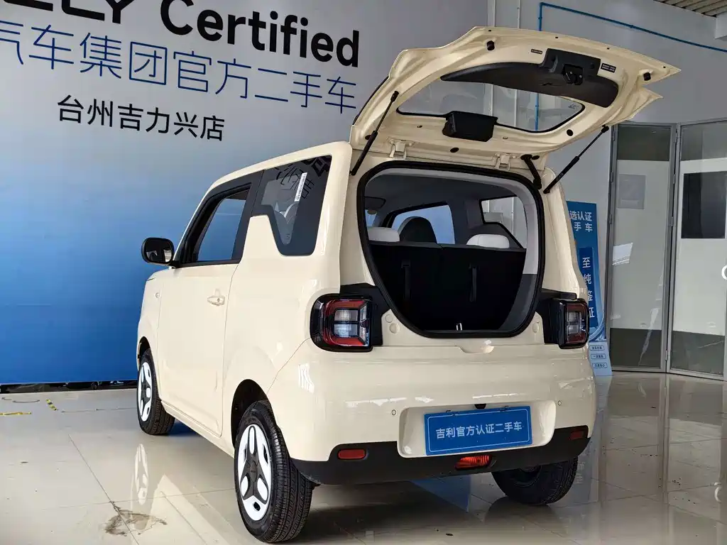 Geely Galaxy Panda 2025 — фото 18