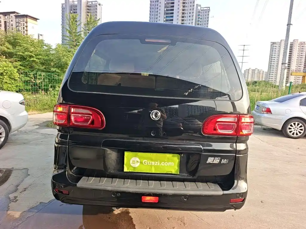 Fengxing Lingzhi 2020