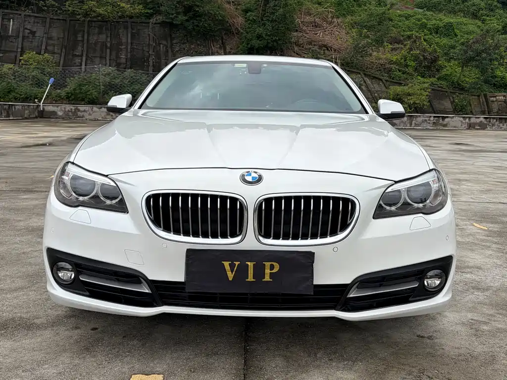 BMW 5 Series 2015