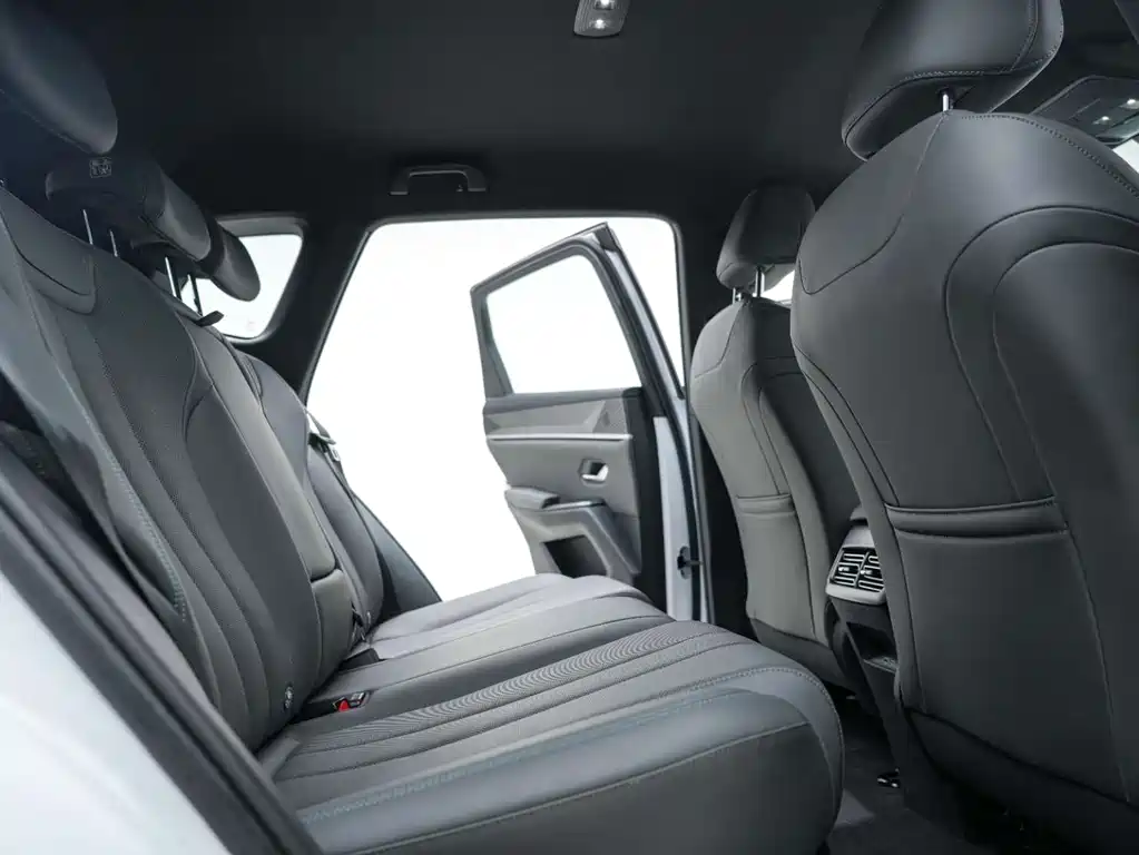 BYD Pro New Energy 2025 — фото 24