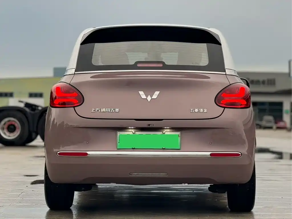 Wuling Bingo 2024