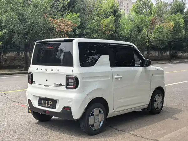 Geely Galaxy Panda 2024