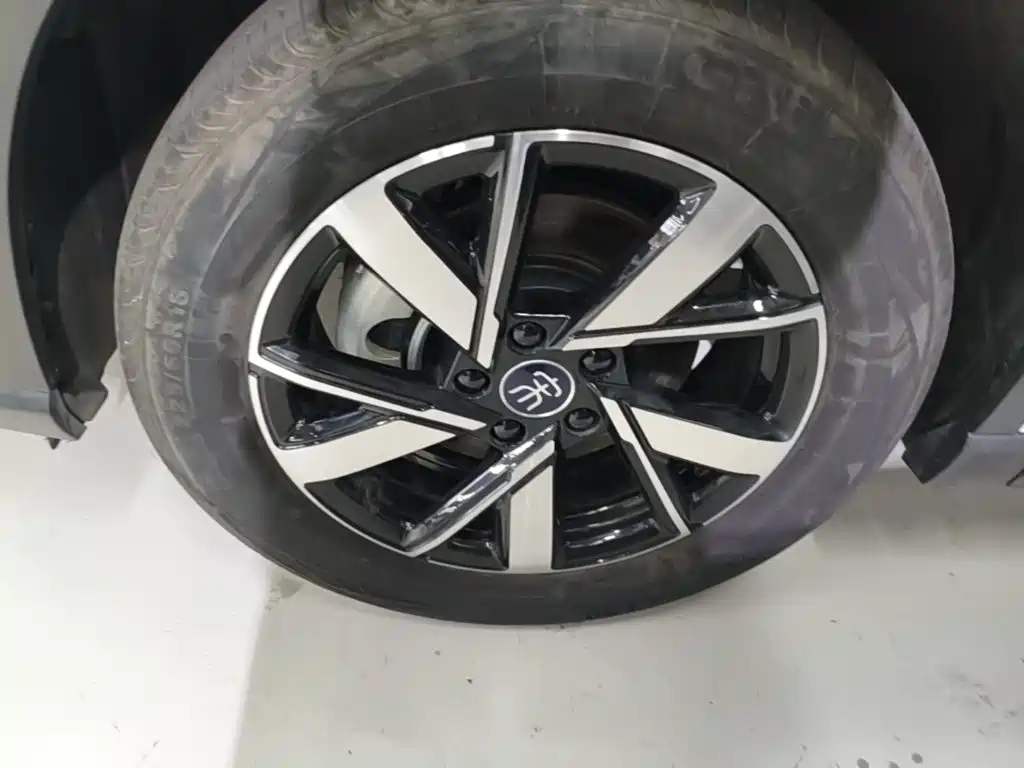 BYD Song Pro New Energy 2024 — фото 23