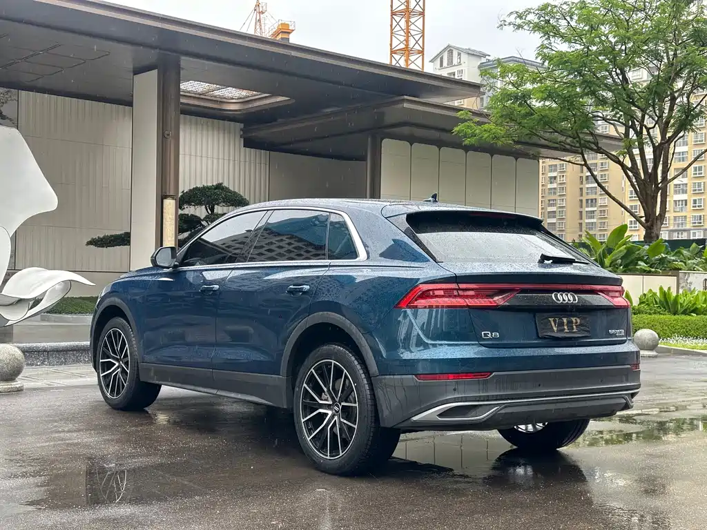 Audi Q8 2023 — фото 9