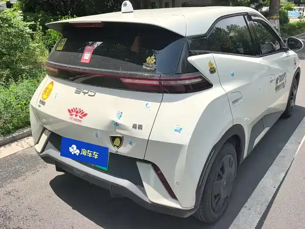 BYD Seagull 2024