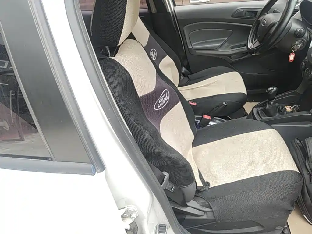 Ford EcoSport 2017 — фото 25