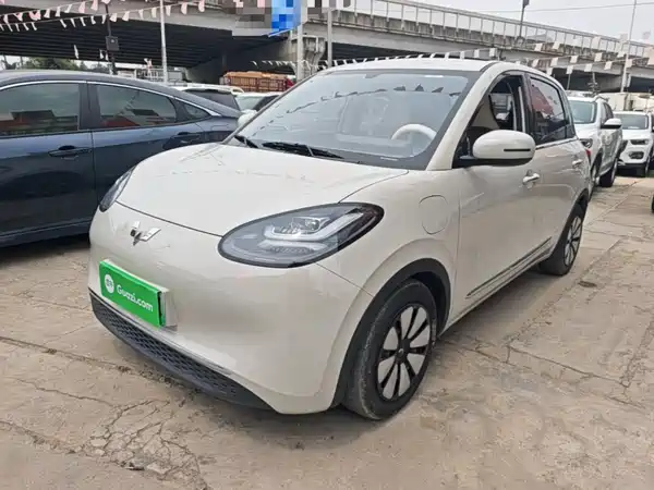Wuling Bingo 2024
