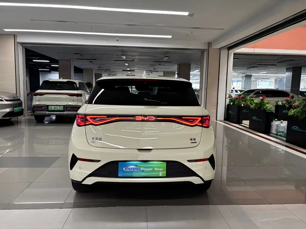 BYD Dolphin 2025
