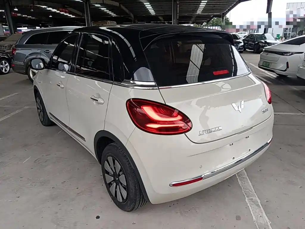 Wuling Bingo 2024