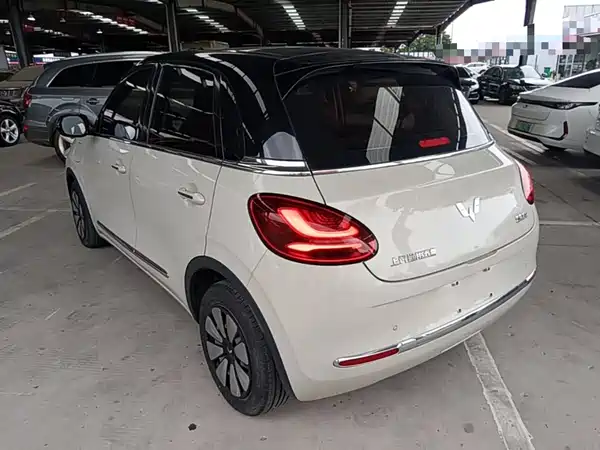 Wuling Bingo 2024