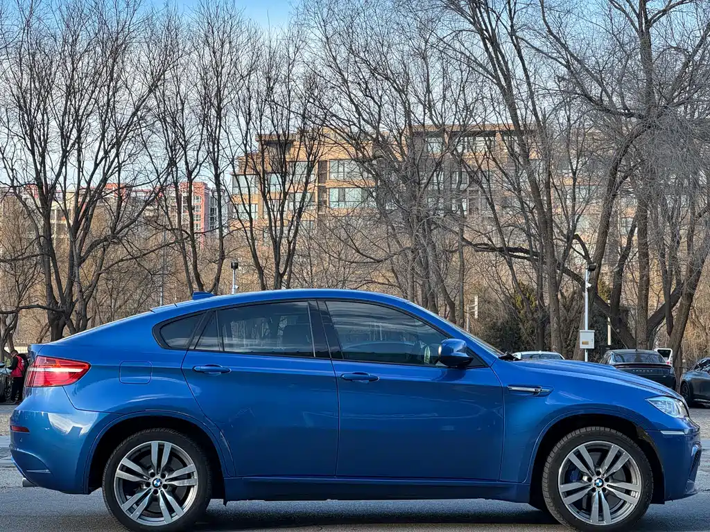 BMW X6 M 2015 — фото 9