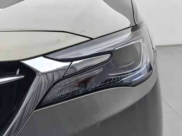 Buick GL6 2019