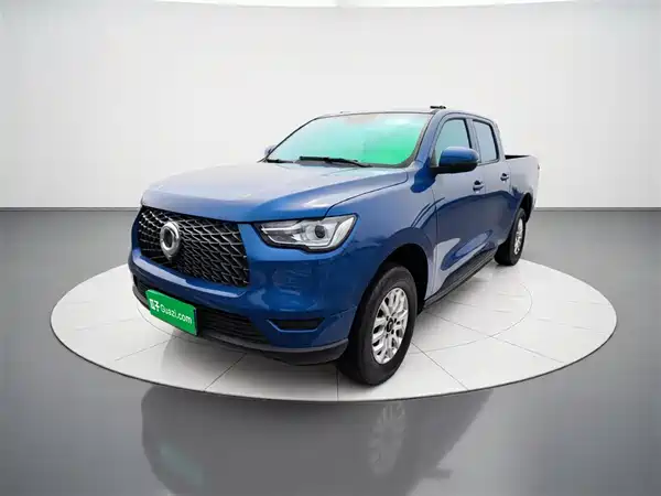 Great Wall Poer 2019