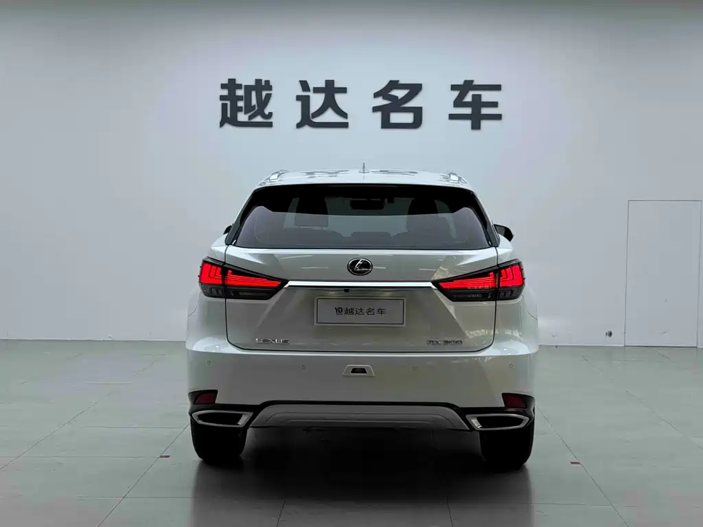 Lexus RX 2023 — фото 20