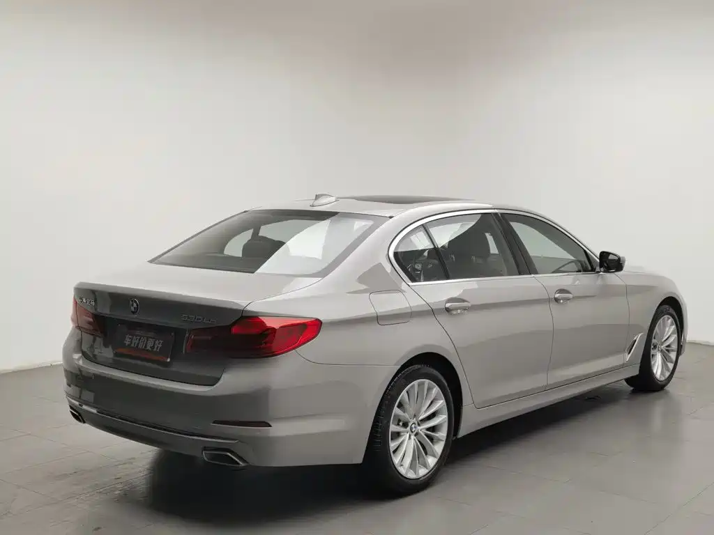 BMW 5 Series New Energy 2020