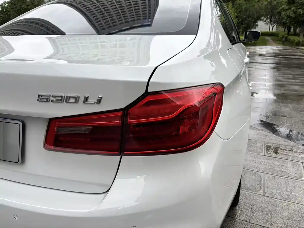 BMW 5 Series 2017 — фото 17