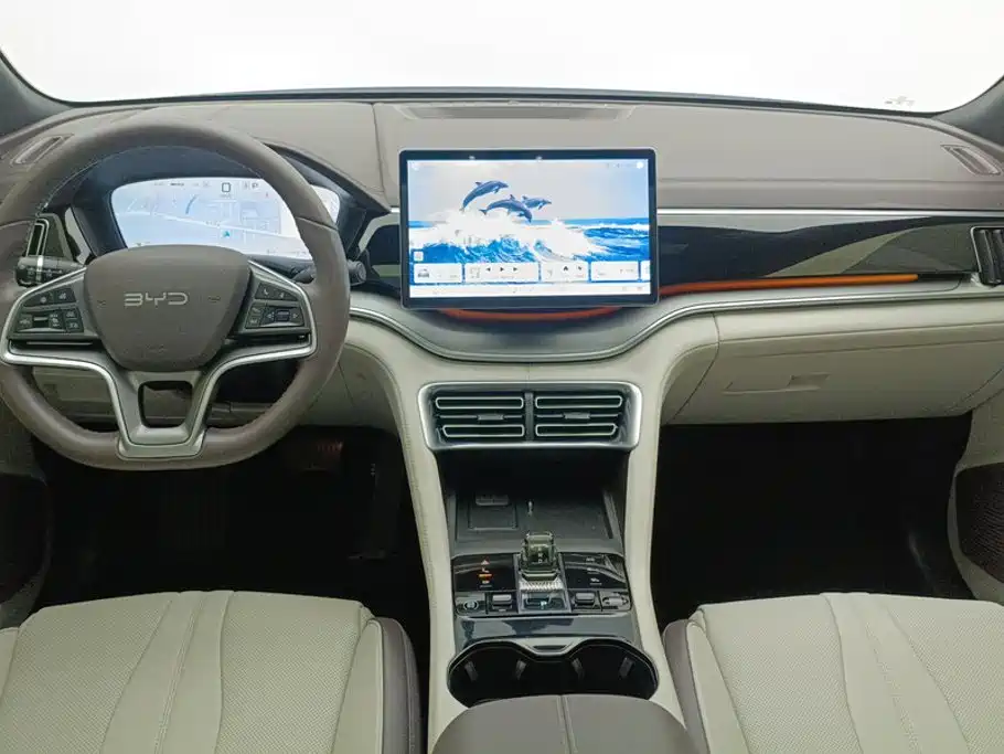 BYD Song PLUS New Energy 2025 — фото 12