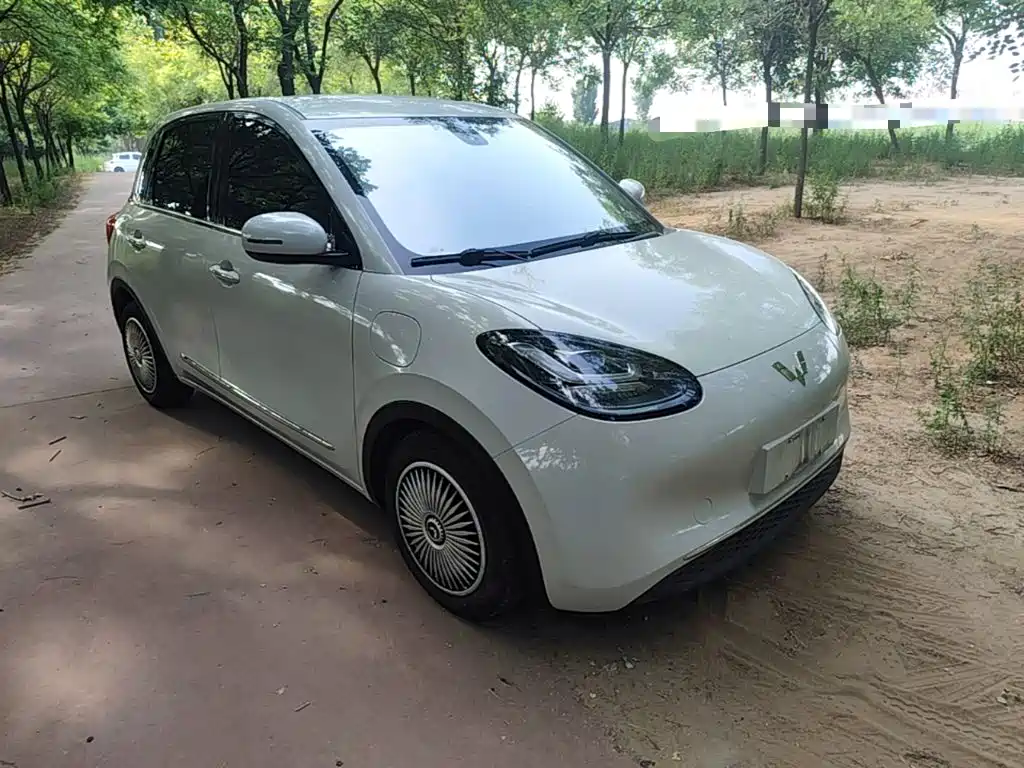 Wuling Bingo 2023