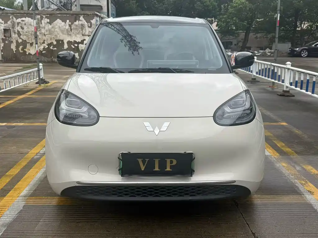 Wuling Bingo 2024