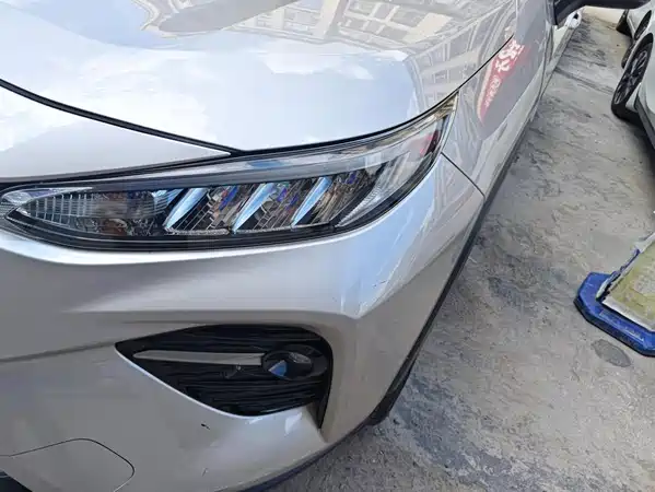 Toyota Wildlander 2020