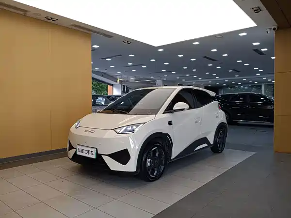 BYD Seagull 2025