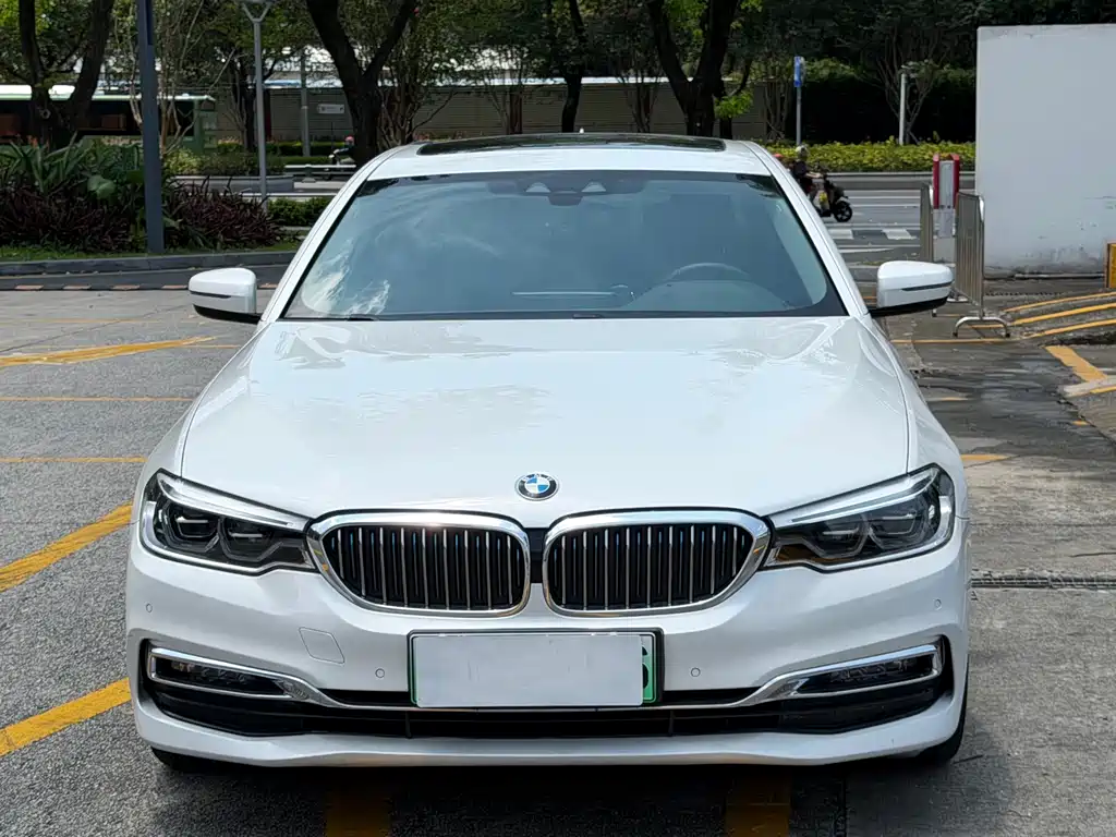 BMW 5 Series New Energy 2018