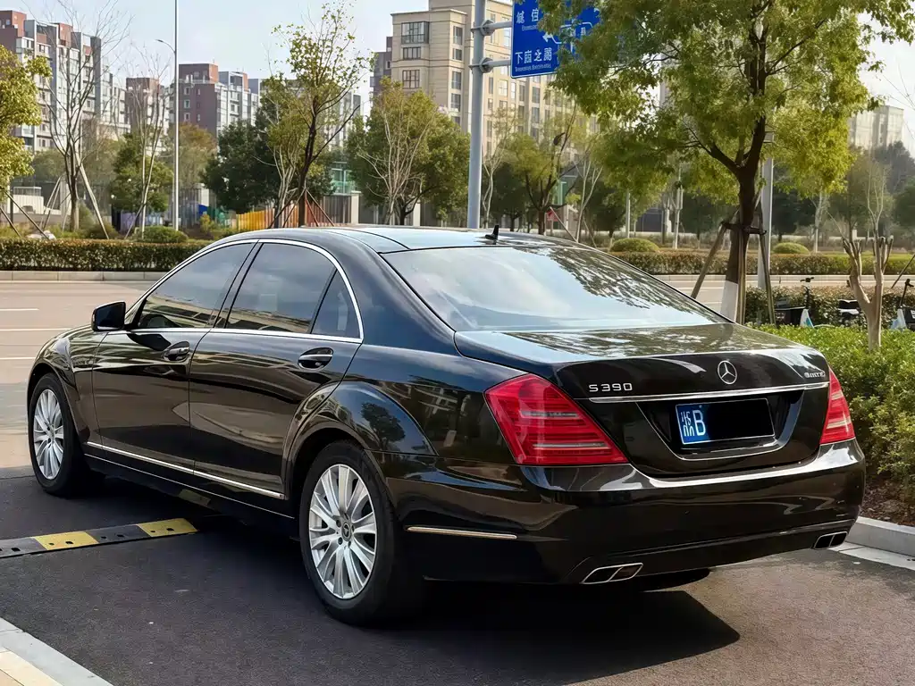 Mercedes-Benz S-Class 2010 — фото 8