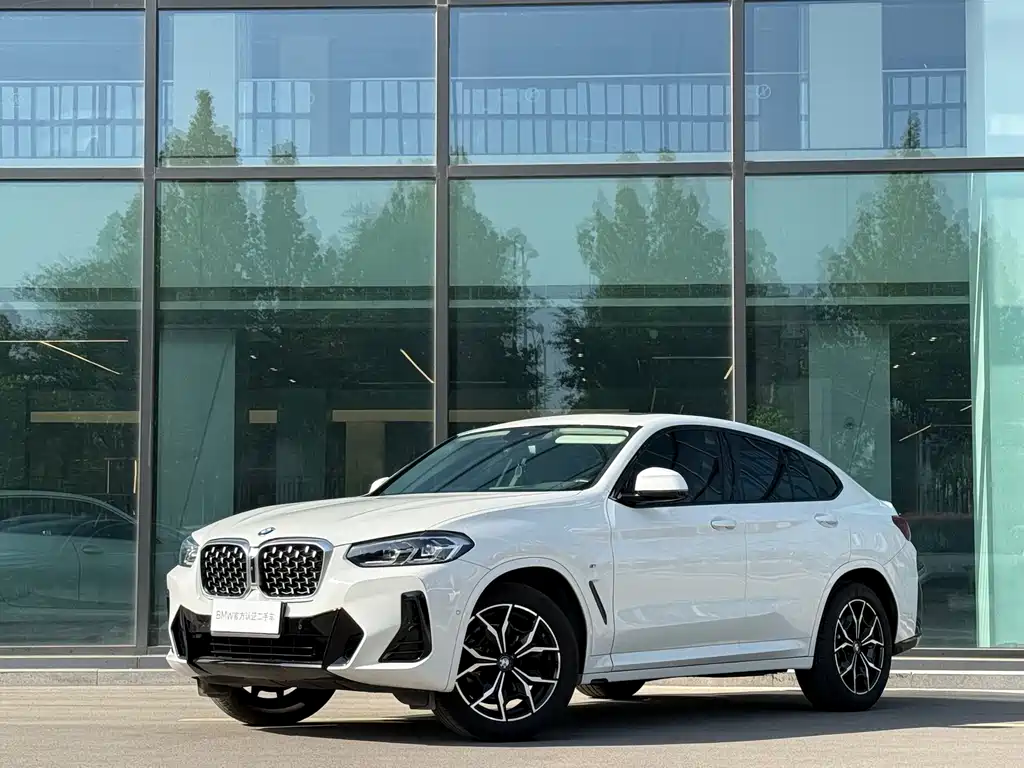 BMW X4 2022