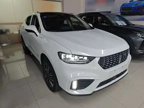 Wey VV5 2020