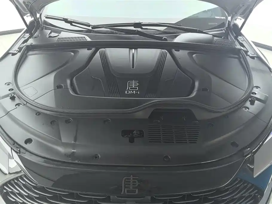BYD Tang New Energy 2025 — фото 10